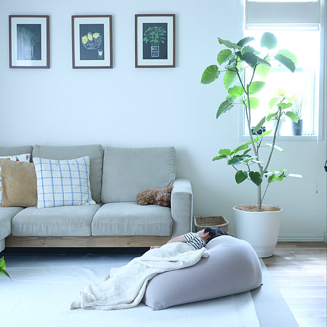 nico_home_igさんの実例写真
