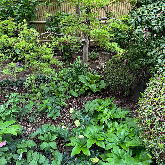 mamizaさんの実例写真