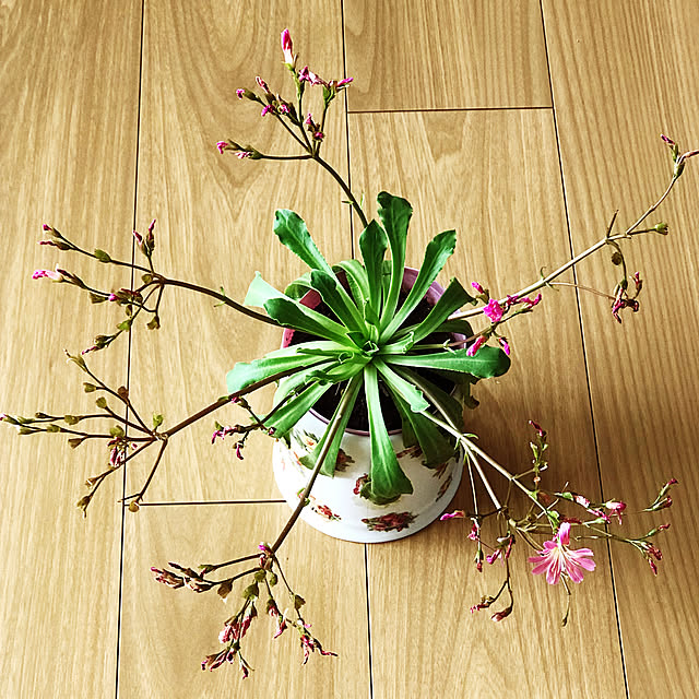 fuyiqian1026さんの実例写真