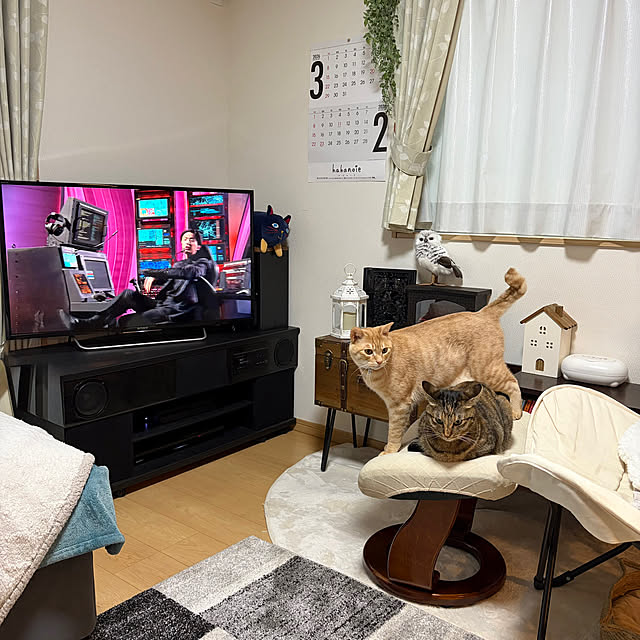 chiiさんの実例写真