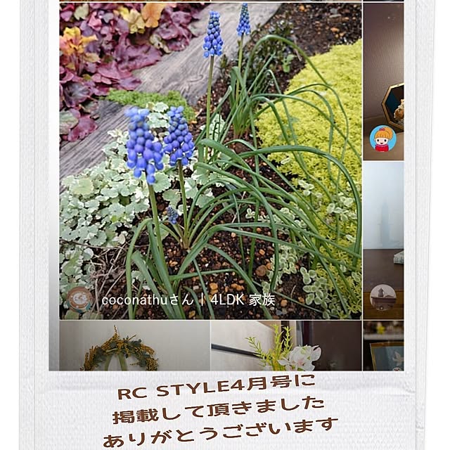 coconathuさんの実例写真