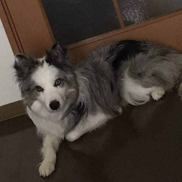 myさんの実例写真