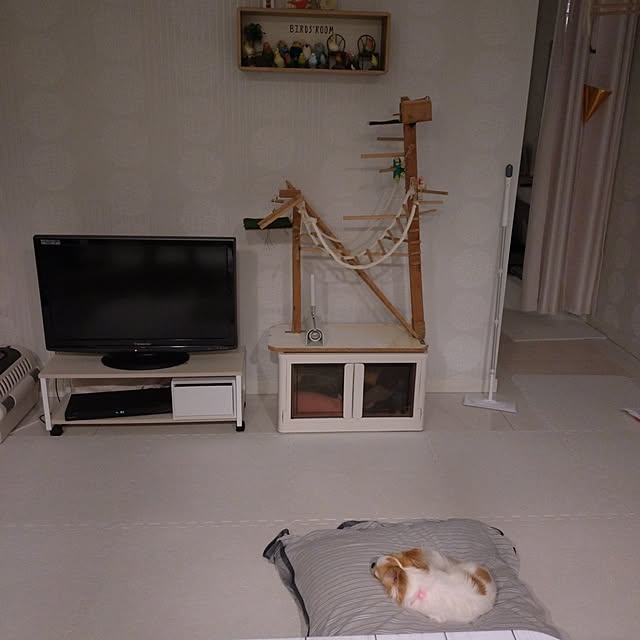 toratanさんの実例写真
