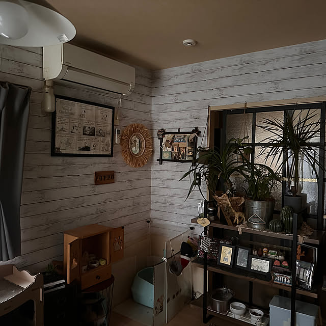 Rindasanさんの部屋