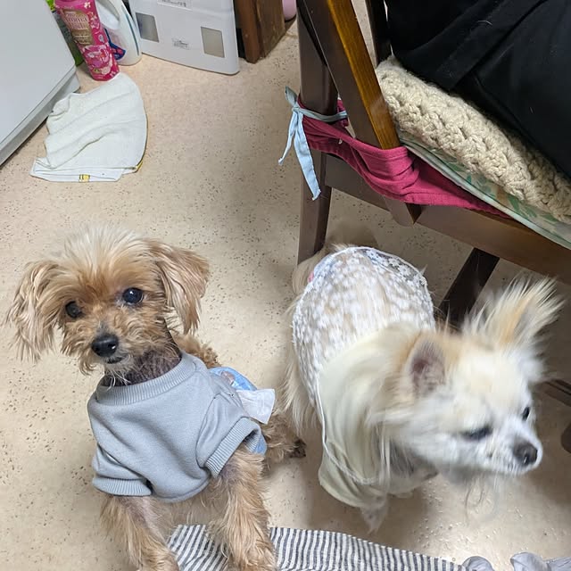 minnieさんの部屋