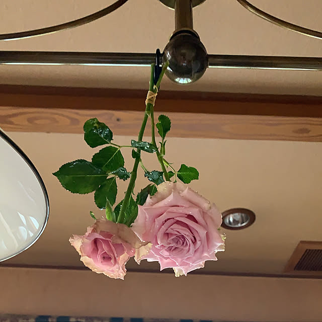 mama_sanさんの実例写真