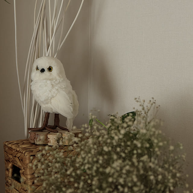 Summerさんの部屋