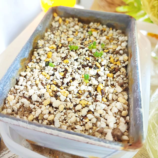 mariaさんの部屋