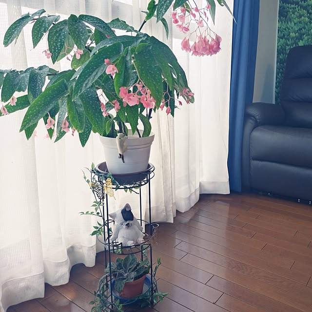 NOAHさんの部屋