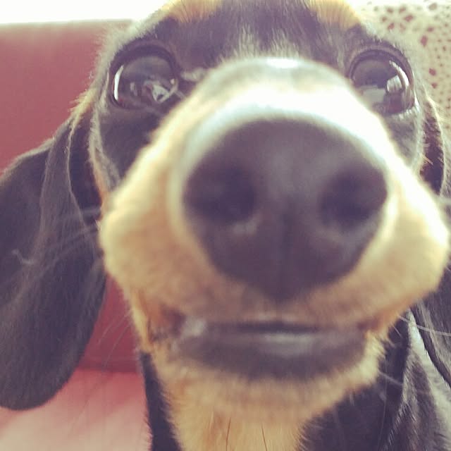 karinさんの実例写真