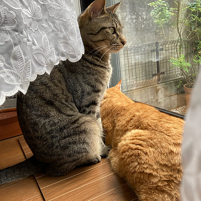 rosepink0910さんの実例写真