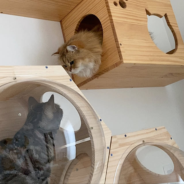 furitamaさんの実例写真