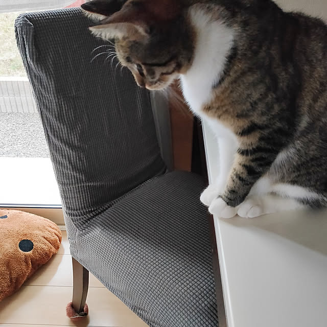 Ai_Mさんの実例写真