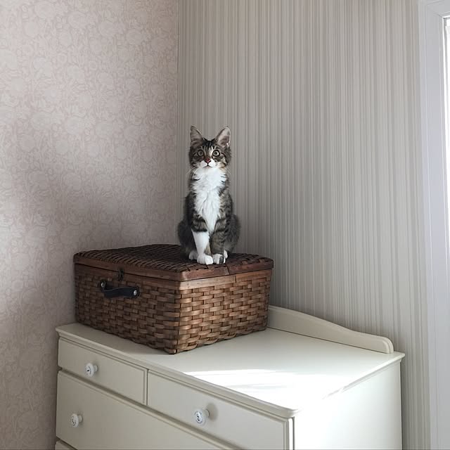 yuchiさんの実例写真