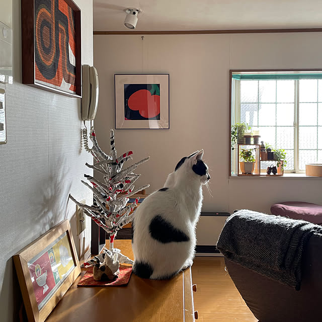 nobikoさんの部屋