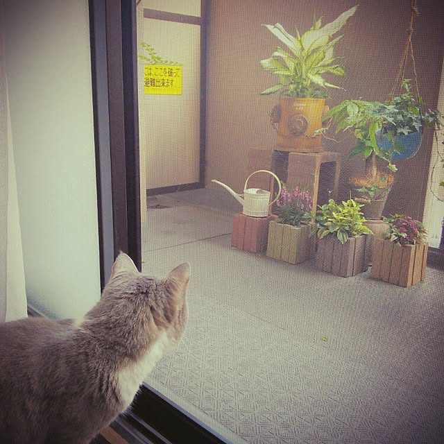lovepandaさんの実例写真