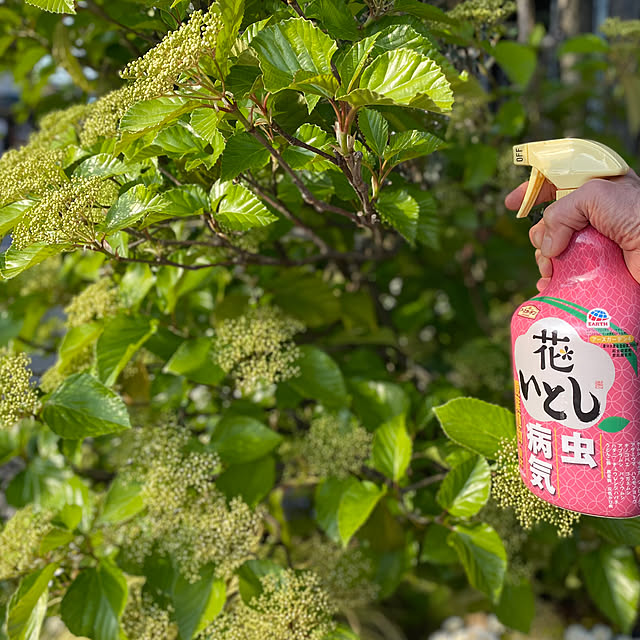 mukuさんの実例写真