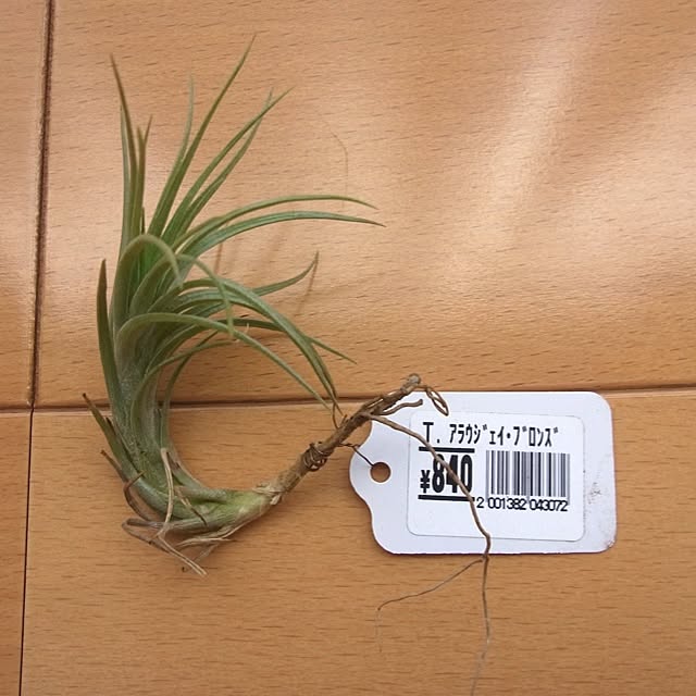 yandakoumutenさんの実例写真