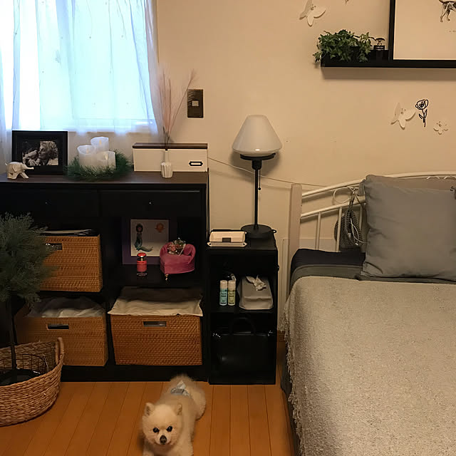 tekapoさんの実例写真