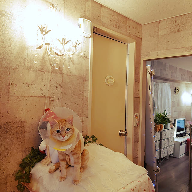 asuminさんの実例写真