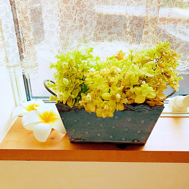 harvestさんの実例写真