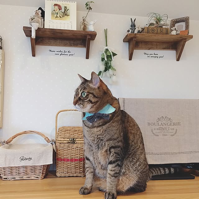 lovecatさんの実例写真