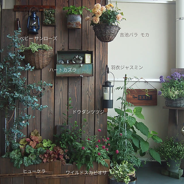 kazafunaさんの実例写真