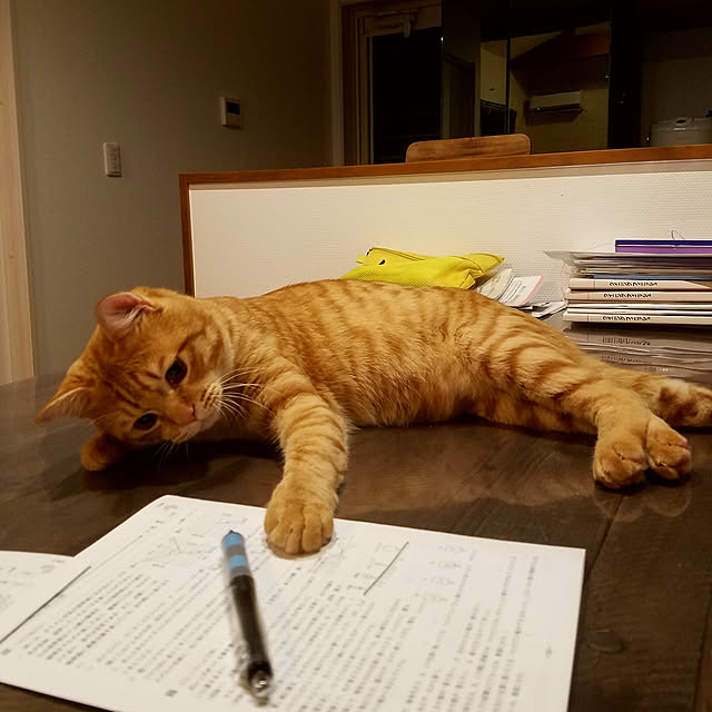 C.Tさんの実例写真
