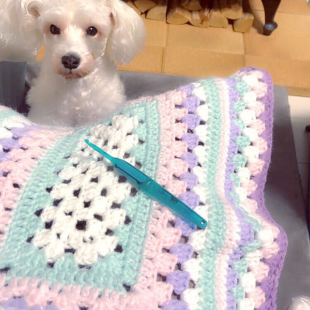 suzyさんの実例写真