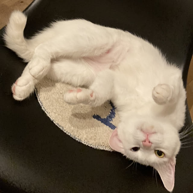 jijicoさんの実例写真