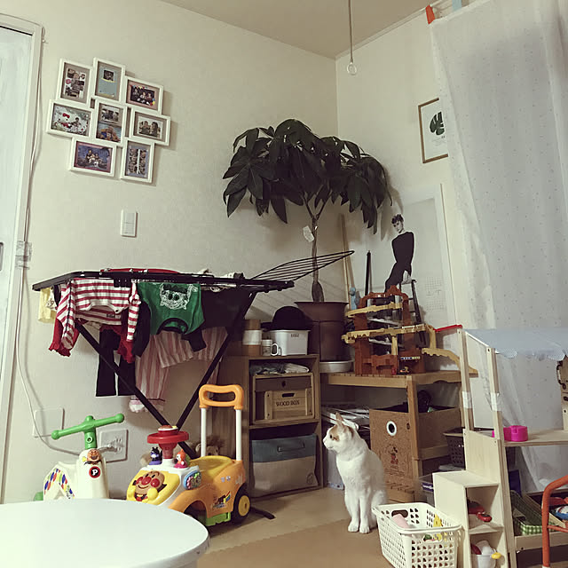jiro0626さんの実例写真