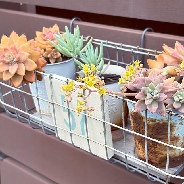 yukkoさんの実例写真