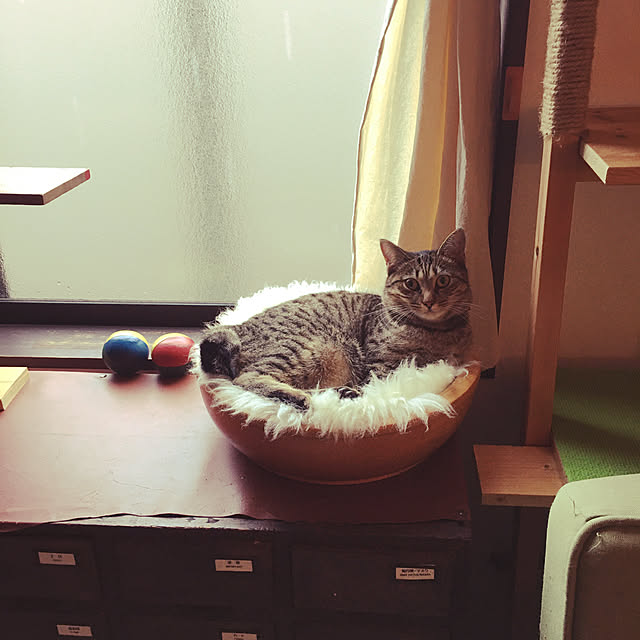 Mさんの実例写真