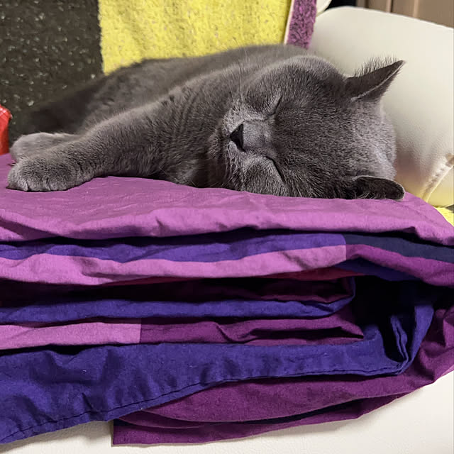 kittyさんの部屋