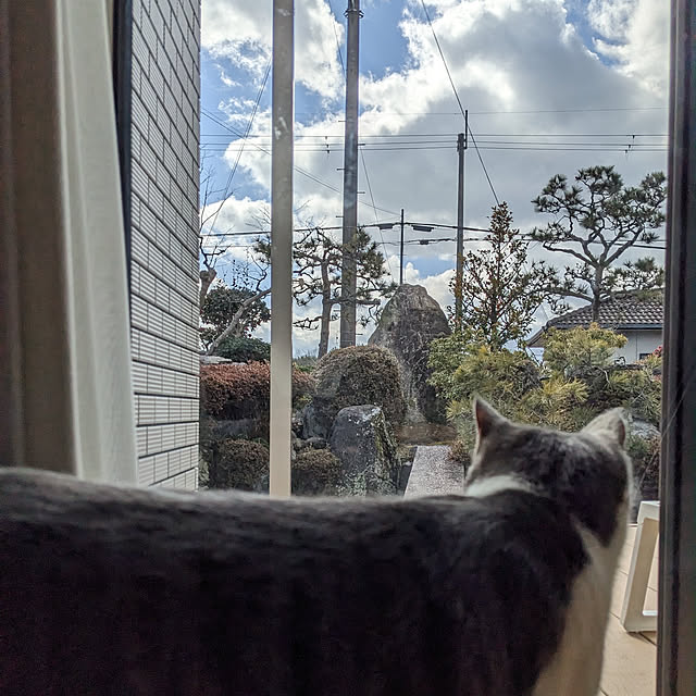 papyjetさんの実例写真