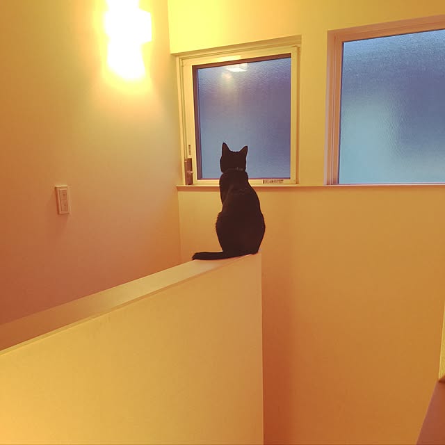 mi_koさんの実例写真