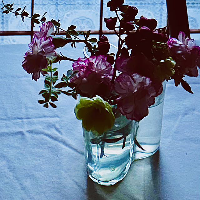 chacoさんの部屋