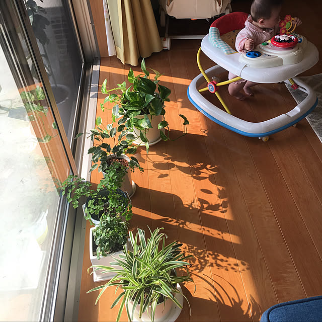 nanachanmamaさんの実例写真