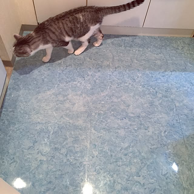 emmyyさんの実例写真