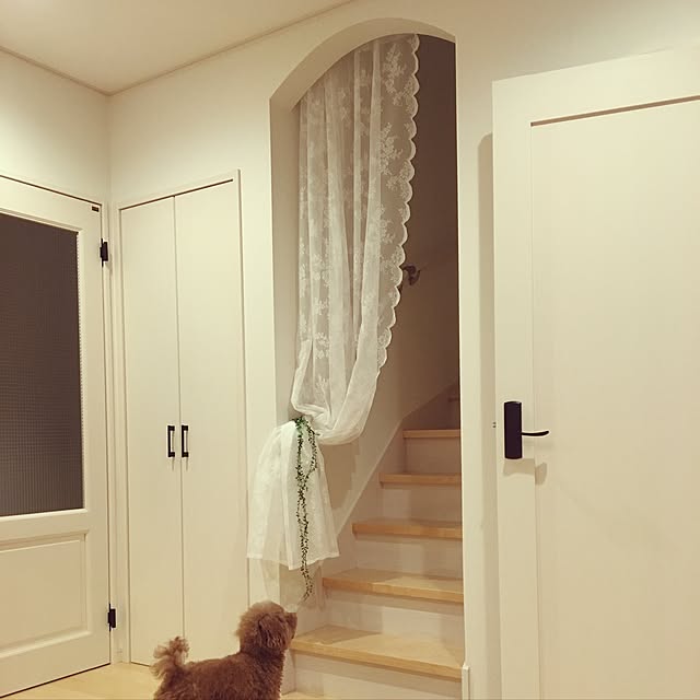 pomuriさんの実例写真