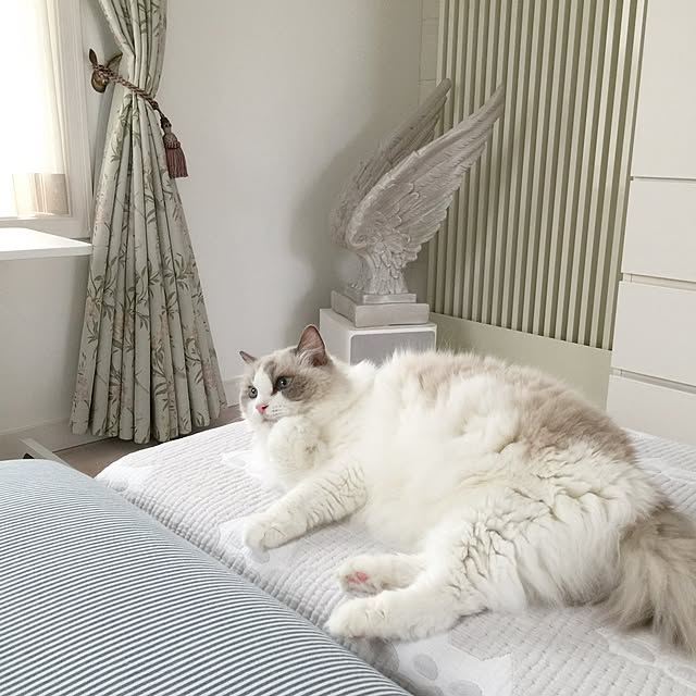 yuchiさんの実例写真