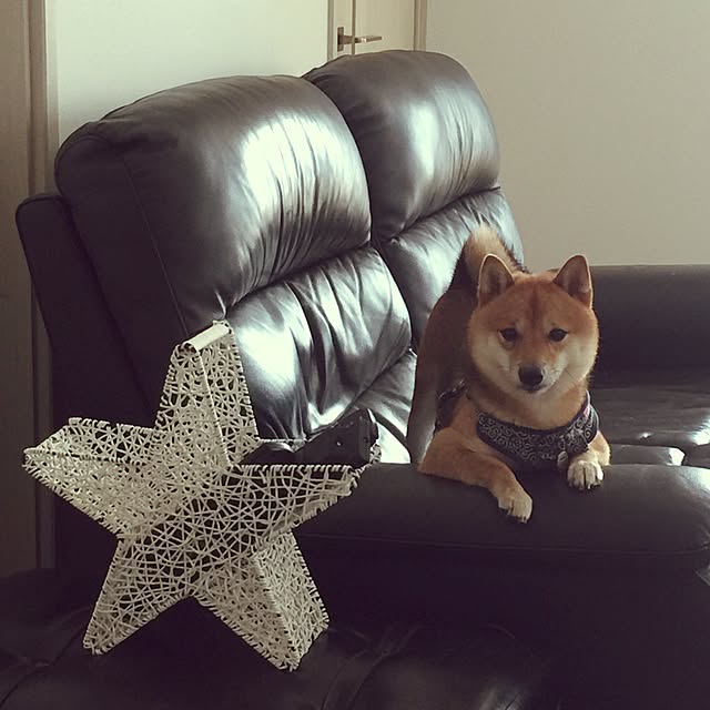 hanakoさんの実例写真