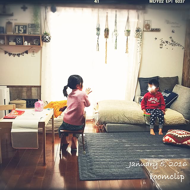 kinu-sakuさんの実例写真