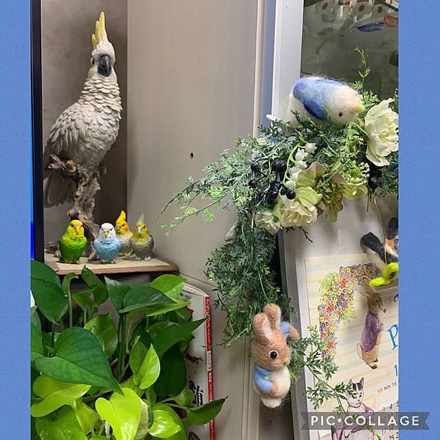 Aqettyさんの部屋