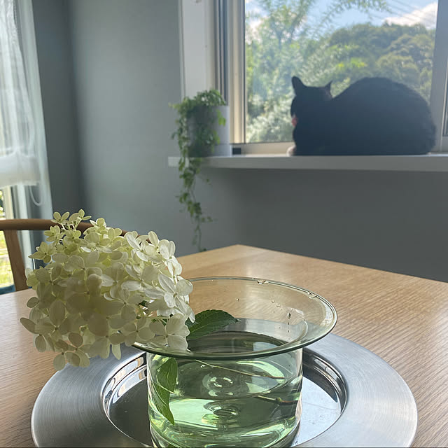 mtkさんの実例写真