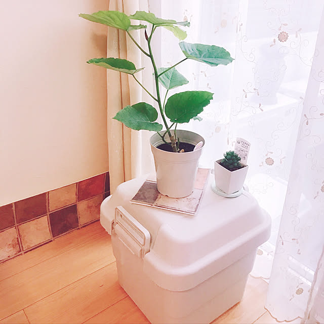 rizumu4649さんの実例写真