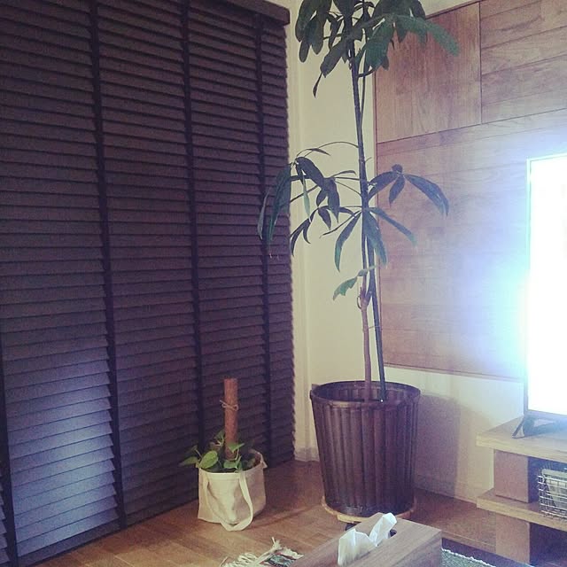 tentenさんの実例写真