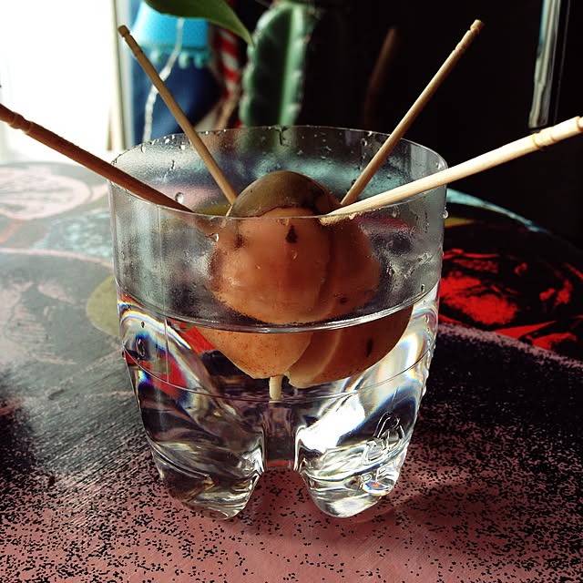 komachangさんの実例写真