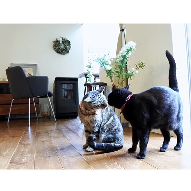 coconana165さんの実例写真