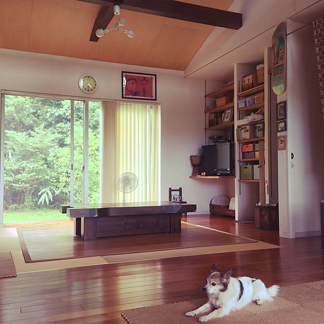 mi12z12yさんの実例写真